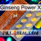 Ginseng Power X 42